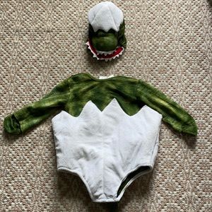 Pottery Barn Kids Baby Dinosaur Costume